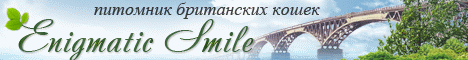 Питомник британских короткошерстных кошек "Enigmatic Smile"