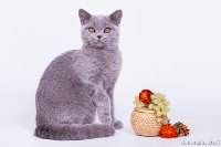 Емеля