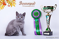 Гоша Красавчик
