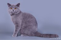 Мишка 8 мес.