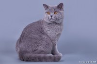 Мишка 8 мес.