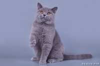 Мишка 8 мес.