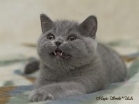 Маленький Веня)))