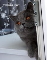 Квентин, дома Веня)))