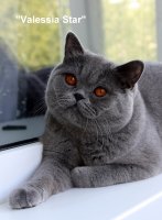 Квентин, дома Веня)))
