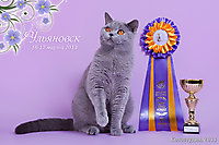 Пончик 1-е место в WCF ринге (28 животных)