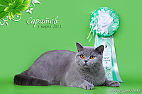 Мой любимый Пончик