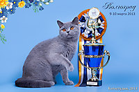 Мой любимый Пончик