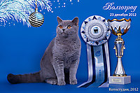 Мой любимый Пончик