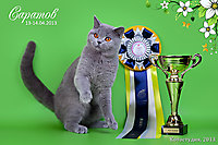 Пончик BEST of the BEST 2!!!