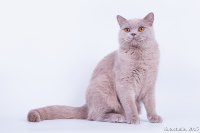 Шурику 10 мес..