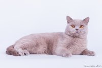 Шурику 10 мес..