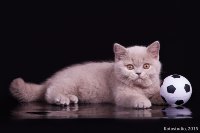 Шелдон 2 мес. 3 нед.