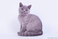 Гугуше 2 мес. 3 нед.