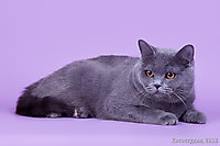 Ruslana of Enigmatic Smile