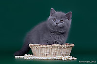 Ruslana of Enigmatic Smile