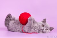 Шурочке 2,5 мес.