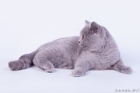 Булочка
