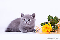 Джип 1 мес.