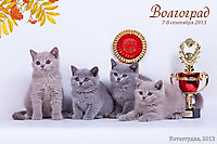 г. Волгоград 7-8 сент 2013г.