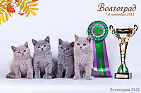 г. Волгоград 7-8 сент 2013г.