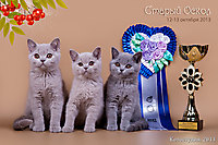 г. Старый Оскол 12-13 окт 2013г.