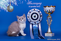 Dolce Gabbana - BEST BАBY г. Волгоград 23 декабря 2012г.