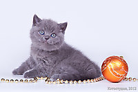 Коко Шанель