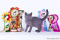 Коко Шанель