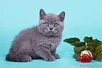 Илюшке 1,5 мес.