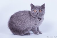 Ляля