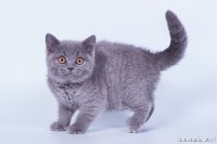 Ляля