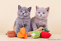 Малышам 1 мес. 2 нед.