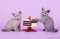 Малышам 1 мес. 2 нед.