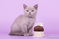 Малышам 1 мес. 2 нед.