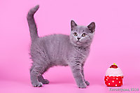 Малышам 1 мес. 2 нед.