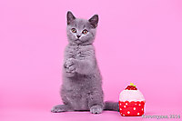Малышам 1 мес. 2 нед.