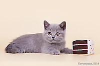 Малышам 1 мес. 2 нед.