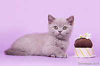 Малышам 1 мес. 2 нед.
