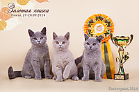 BEST LITTER г. Пенза 27-28 сентября 2014 г.