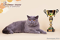г. Пенза 27-28 сентября 2014 г.