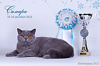 Мой любимчик Гансюша