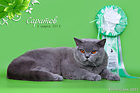 Мой любимчик Гансюша