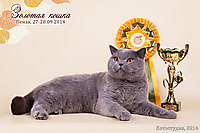 BEST NEUTER г. Пенза 27-28 сентября 2014 г.