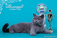 WCF 1-е место!!!