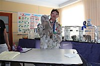 г. Зеленодольск 2012г.