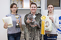 Волгоград 8 марта 2014г.