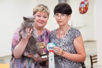 г. Волгоград 06-07 июня 2015 г.