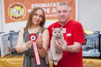 г. Волгоград 06-07 июня 2015 г.