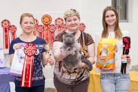 г. Волгоград 06-07 июня 2015 г.